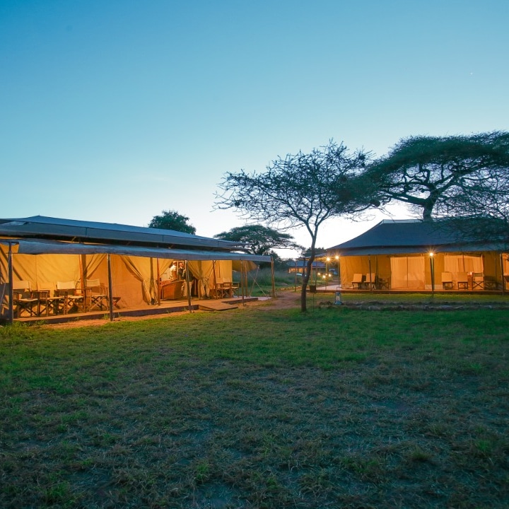 Kisura Serengeti Tented Camp, Get the true flavours of wilderness and  experience an awe-inspiring trip that you can truly cherish for a lifetime  at the Kisura Serengeti Camp